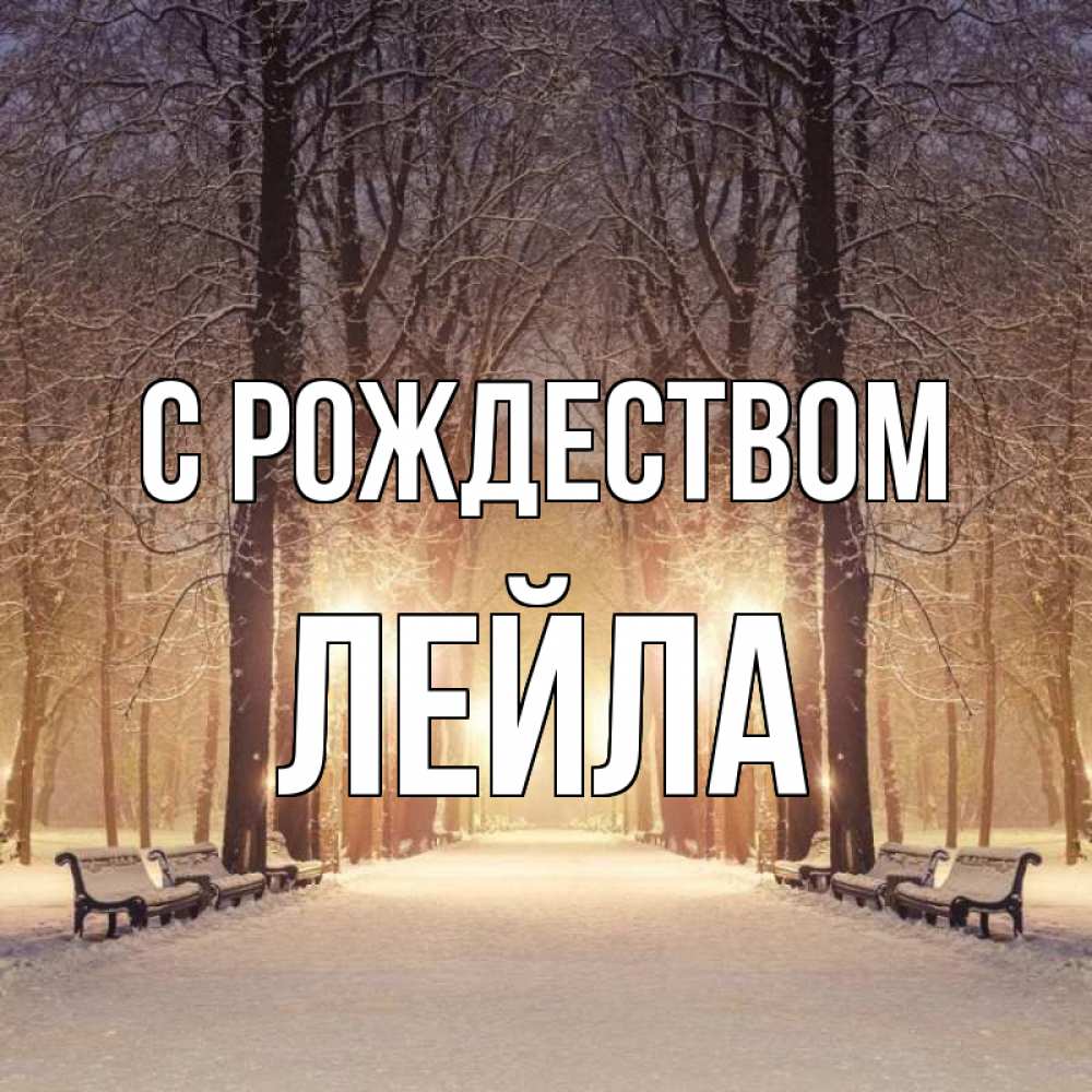 Открытка на каждый день с именем, Лейла С рождеством зима, парк, фонарь, лес Прикольная открытка с пожеланием онлайн скачать бесплатно 