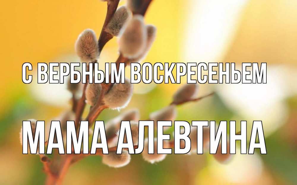 Открытка на каждый день с именем, Мама-Алевтина С вербным воскресеньем верба Прикольная открытка с пожеланием онлайн скачать бесплатно 