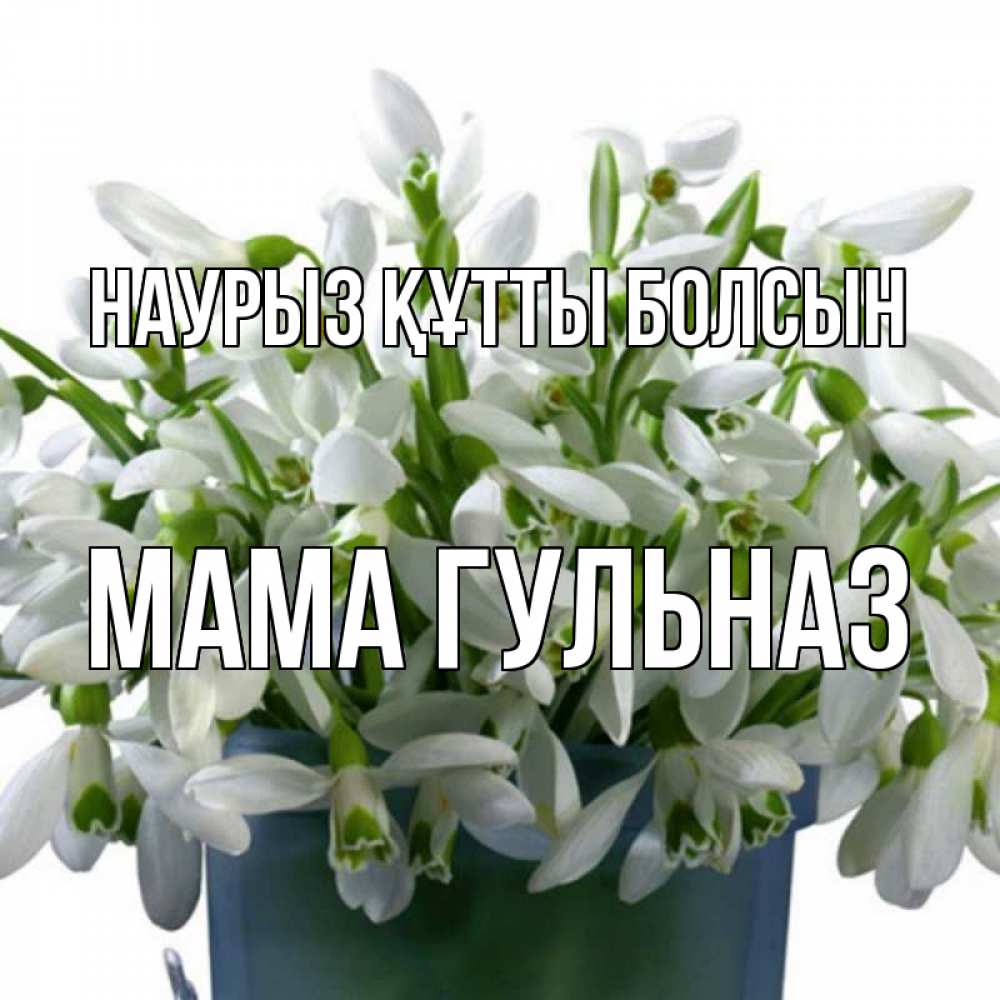 Открытка на каждый день с именем, Мама-Гульназ Наурыз құтты болсын цветы к наурызу Прикольная открытка с пожеланием онлайн скачать бесплатно 