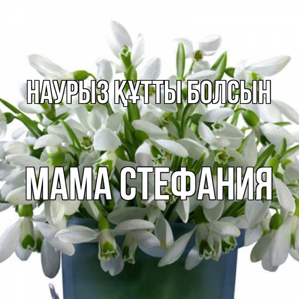Открытка на каждый день с именем, Мама-Стефания Наурыз құтты болсын цветы к наурызу Прикольная открытка с пожеланием онлайн скачать бесплатно 