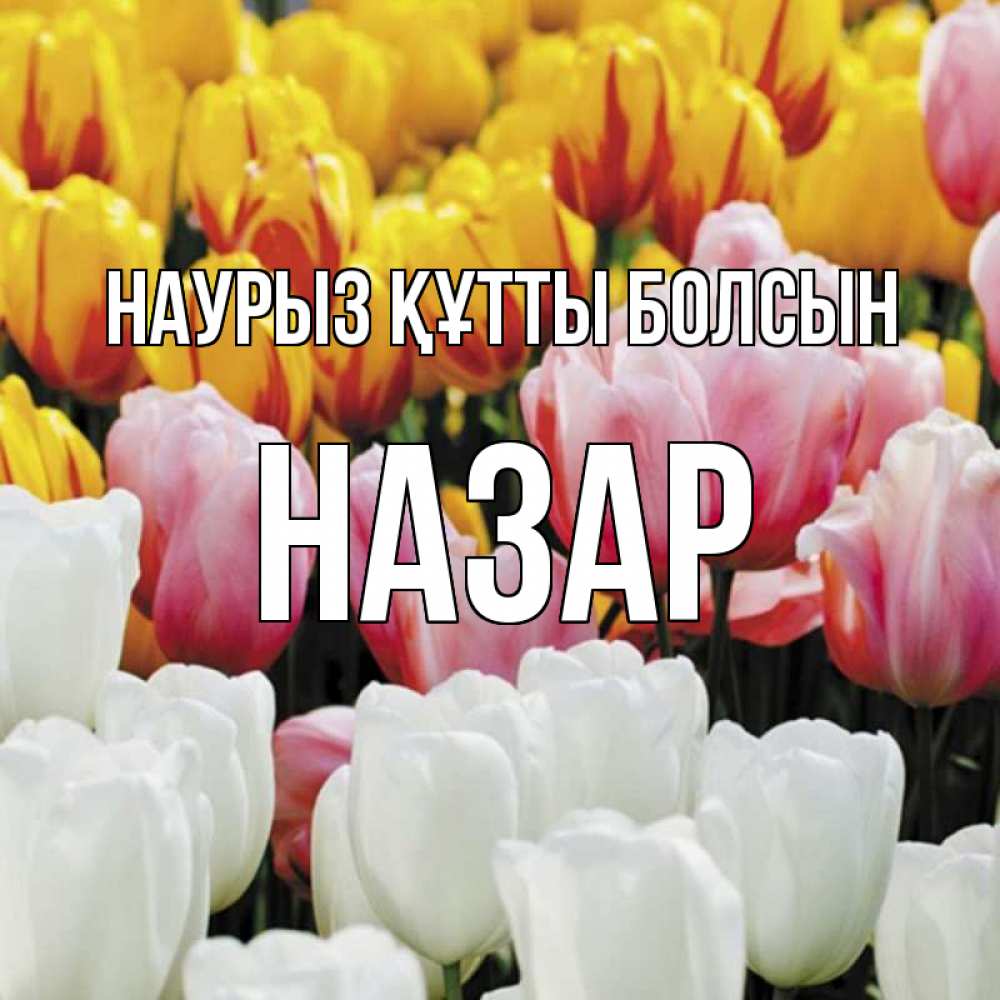 Открытка на каждый день с именем, Назар Наурыз құтты болсын разноцветные цветы Прикольная открытка с пожеланием онлайн скачать бесплатно 