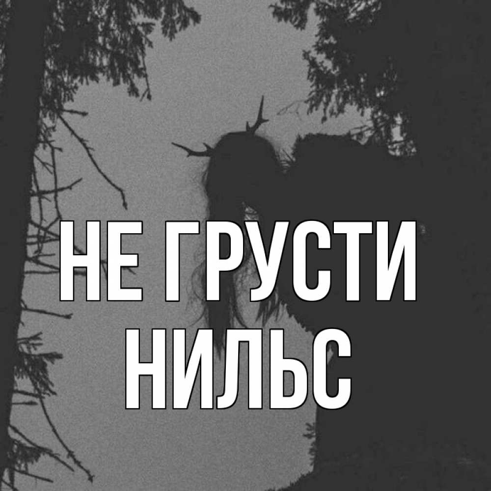 Открытка на каждый день с именем, Нильс Не грусти чудище лесное Прикольная открытка с пожеланием онлайн скачать бесплатно 