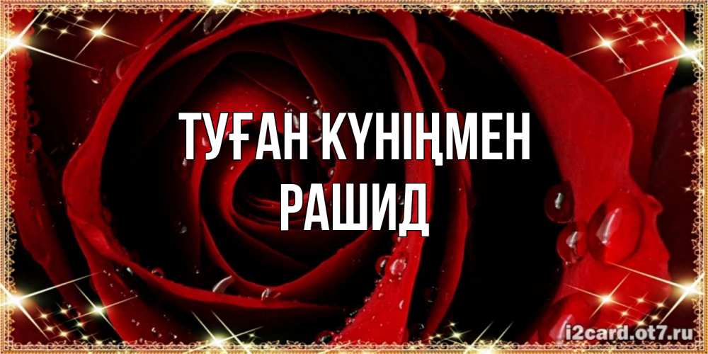 Открытка на каждый день с именем, Рашид Туған күніңмен цветок в росе на день рождения Прикольная открытка с пожеланием онлайн скачать бесплатно 
