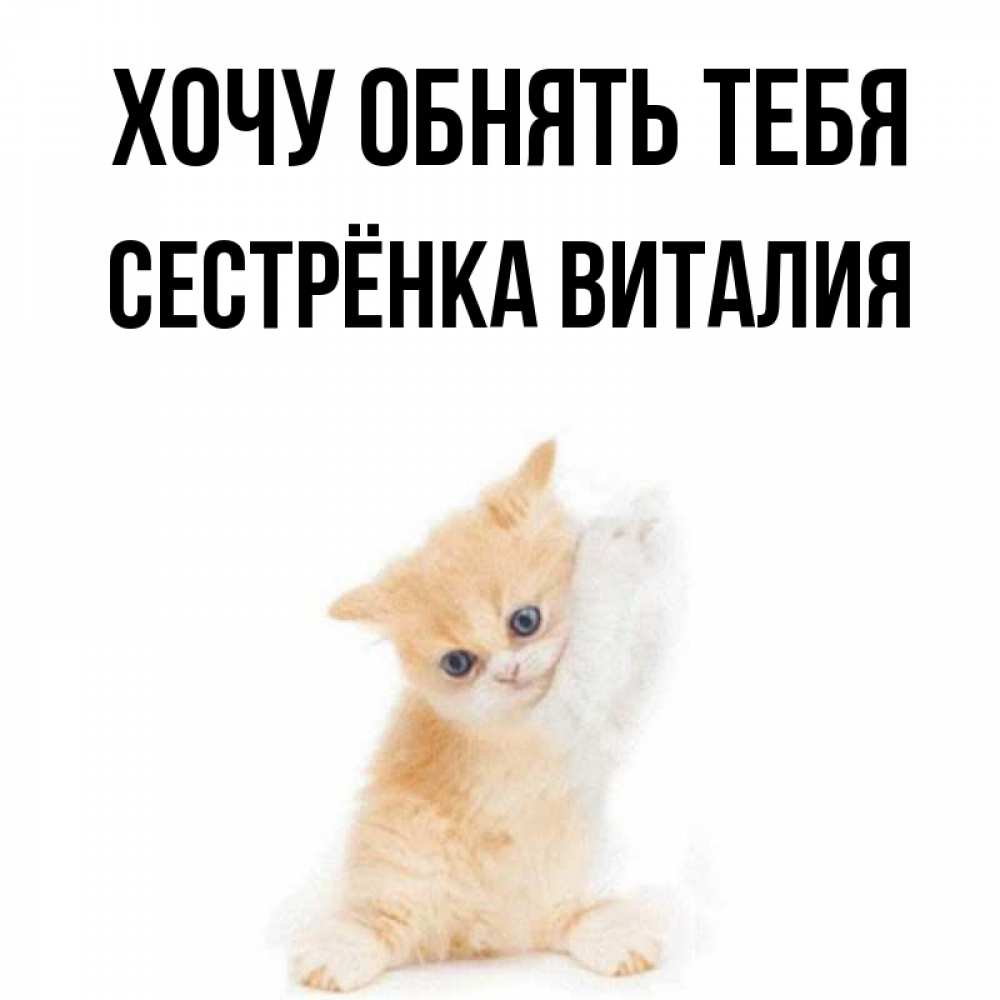 Открытка на каждый день с именем, Сестрёнка-Виталия Хочу обнять тебя я хочу очень скорее обнимаешек Прикольная открытка с пожеланием онлайн скачать бесплатно 
