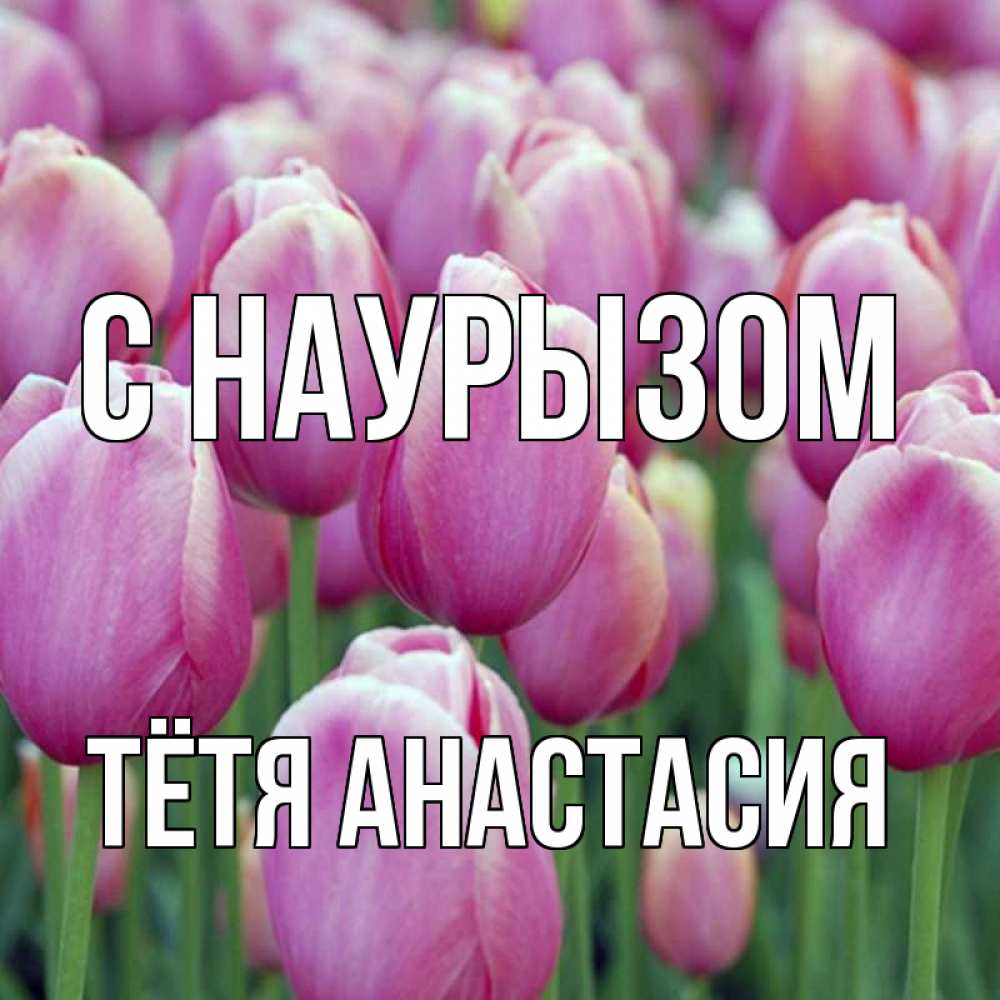 Открытка на каждый день с именем, Тётя-Анастасия С наурызом праздник весны наурыз 69 Прикольная открытка с пожеланием онлайн скачать бесплатно 