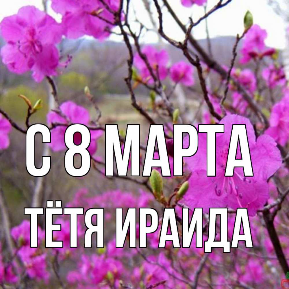 Открытка на каждый день с именем, Тётя-Ираида С 8 МАРТА международный женский день Прикольная открытка с пожеланием онлайн скачать бесплатно 