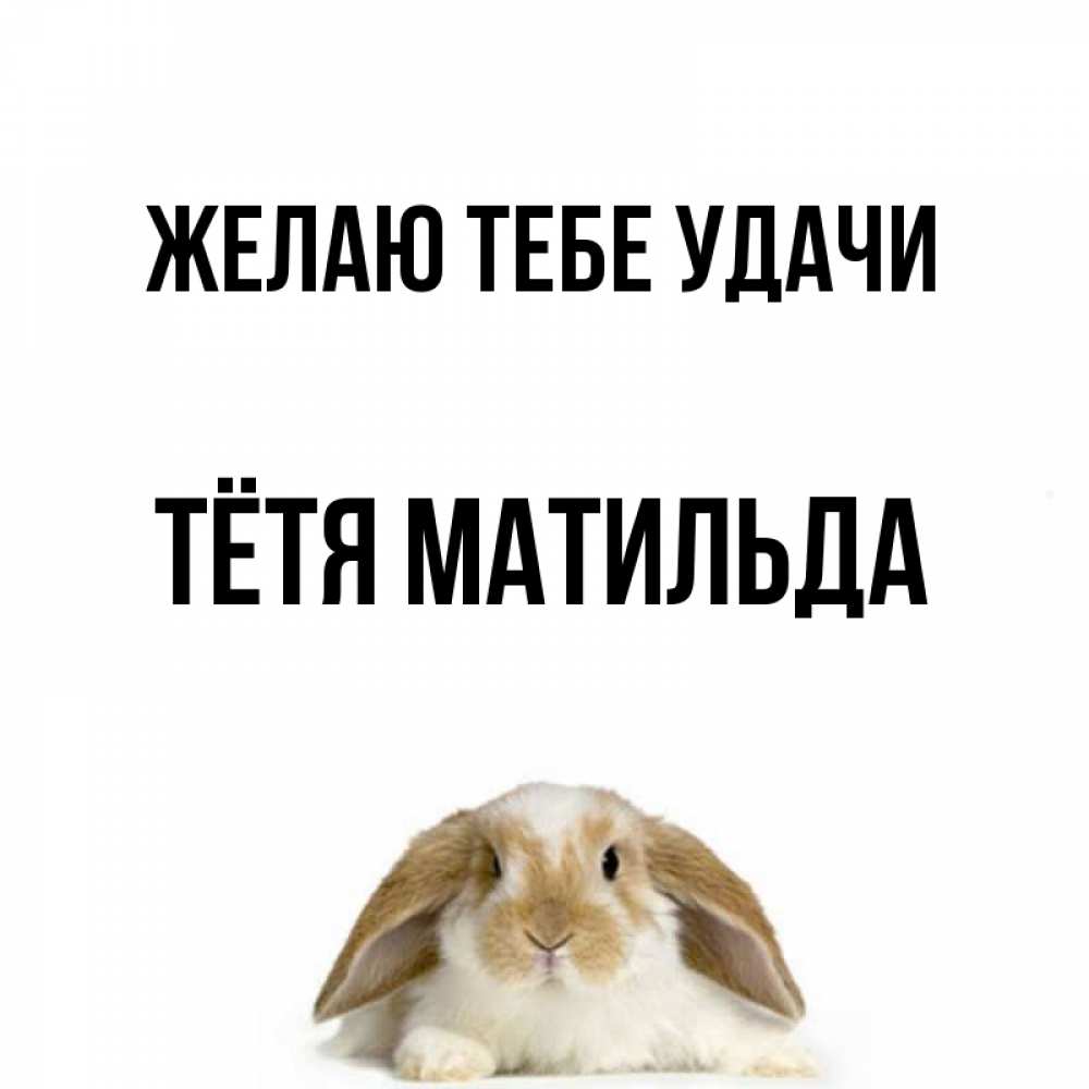 Открытка на каждый день с именем, Тётя-Матильда Желаю тебе удачи открытки с произвольным текстом который можно вставить в открытку и создать ее самостоятельно бесплатно онлайн Прикольная открытка с пожеланием онлайн скачать бесплатно 
