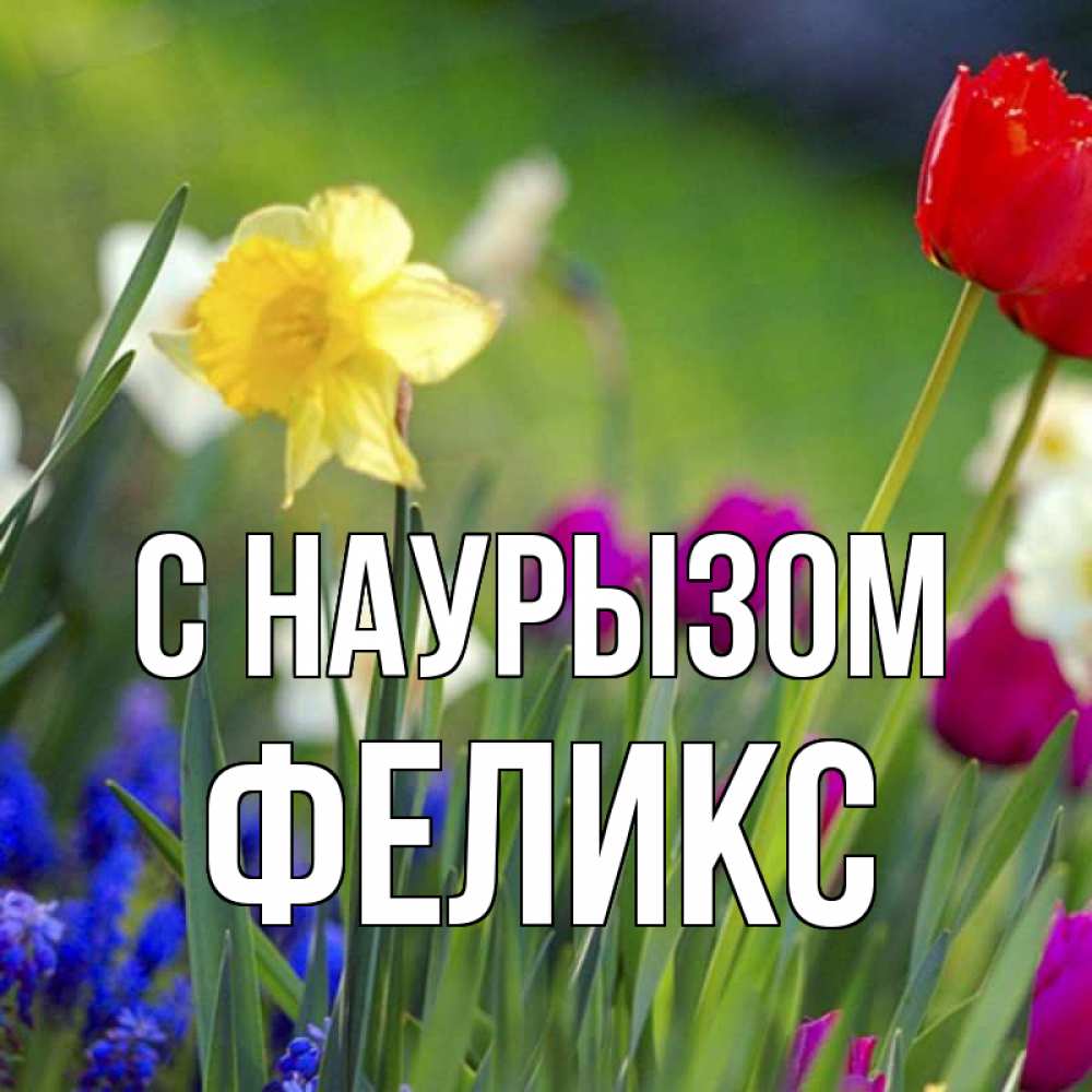 Открытка на каждый день с именем, Феликс С наурызом праздник весны наурыз 3 Прикольная открытка с пожеланием онлайн скачать бесплатно 