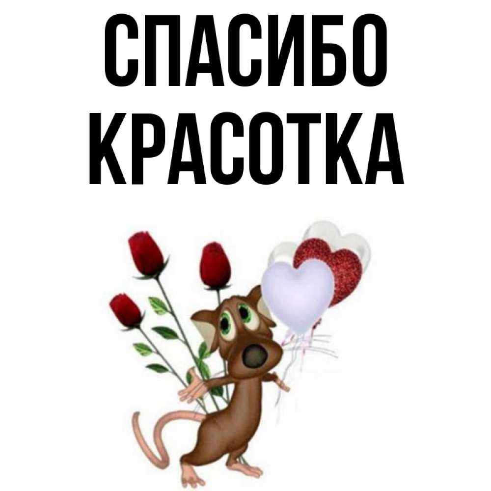 Спасибо красавица картинки