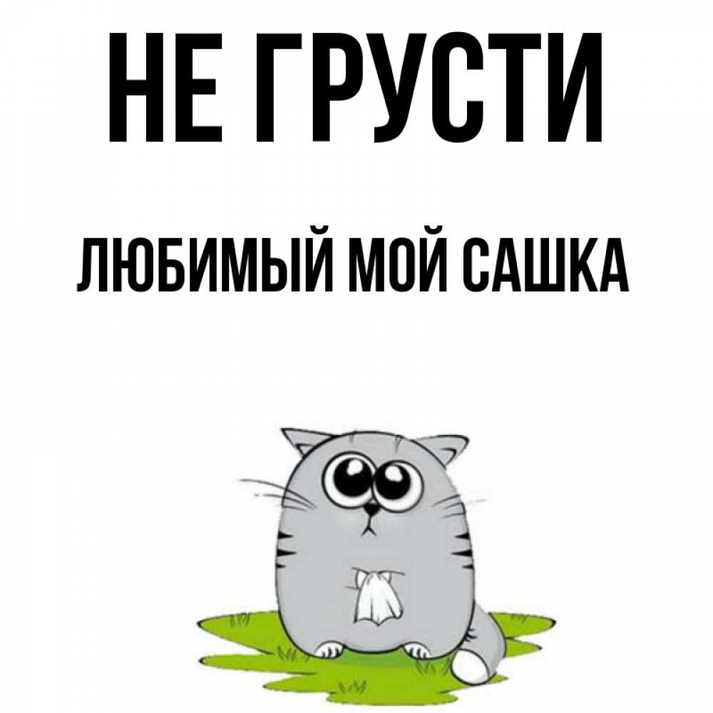 Сашка не грусти картинки