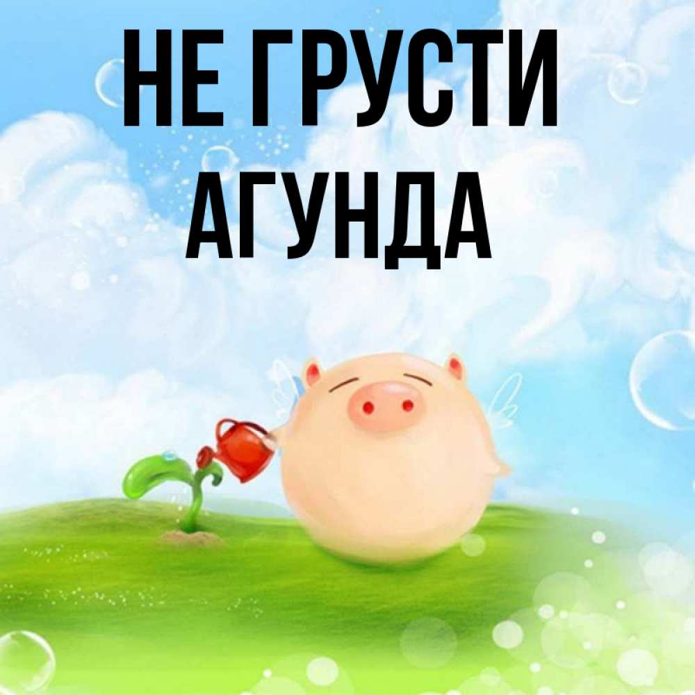 Открытка на каждый день с именем, Агунда Не грусти поливает цветок порося Прикольная открытка с пожеланием онлайн скачать бесплатно 
