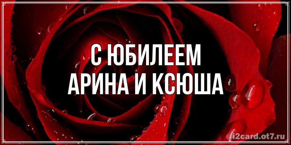 Открытка на каждый день с именем, Арина-и-Ксюша С юбилеем крупная бордовая роза Прикольная открытка с пожеланием онлайн скачать бесплатно 