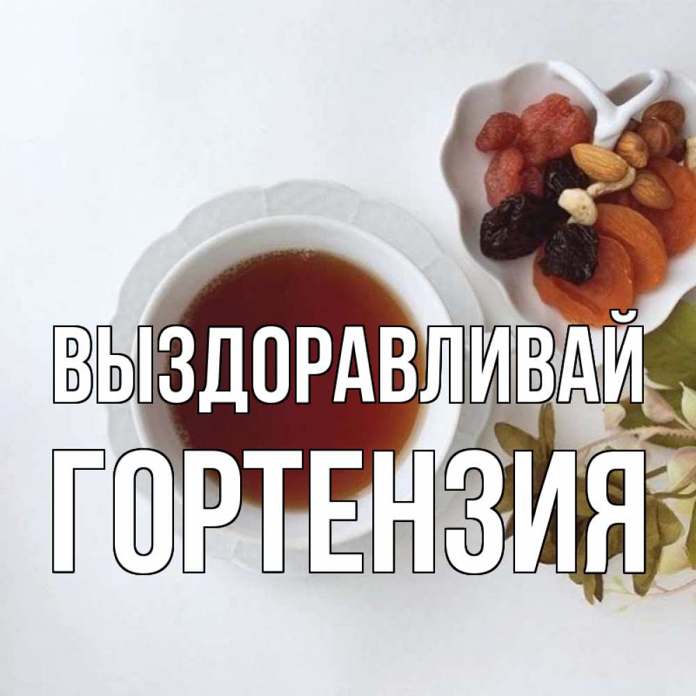 Открытка на каждый день с именем, Гортензия Выздоравливай неизвестные растения Прикольная открытка с пожеланием онлайн скачать бесплатно 