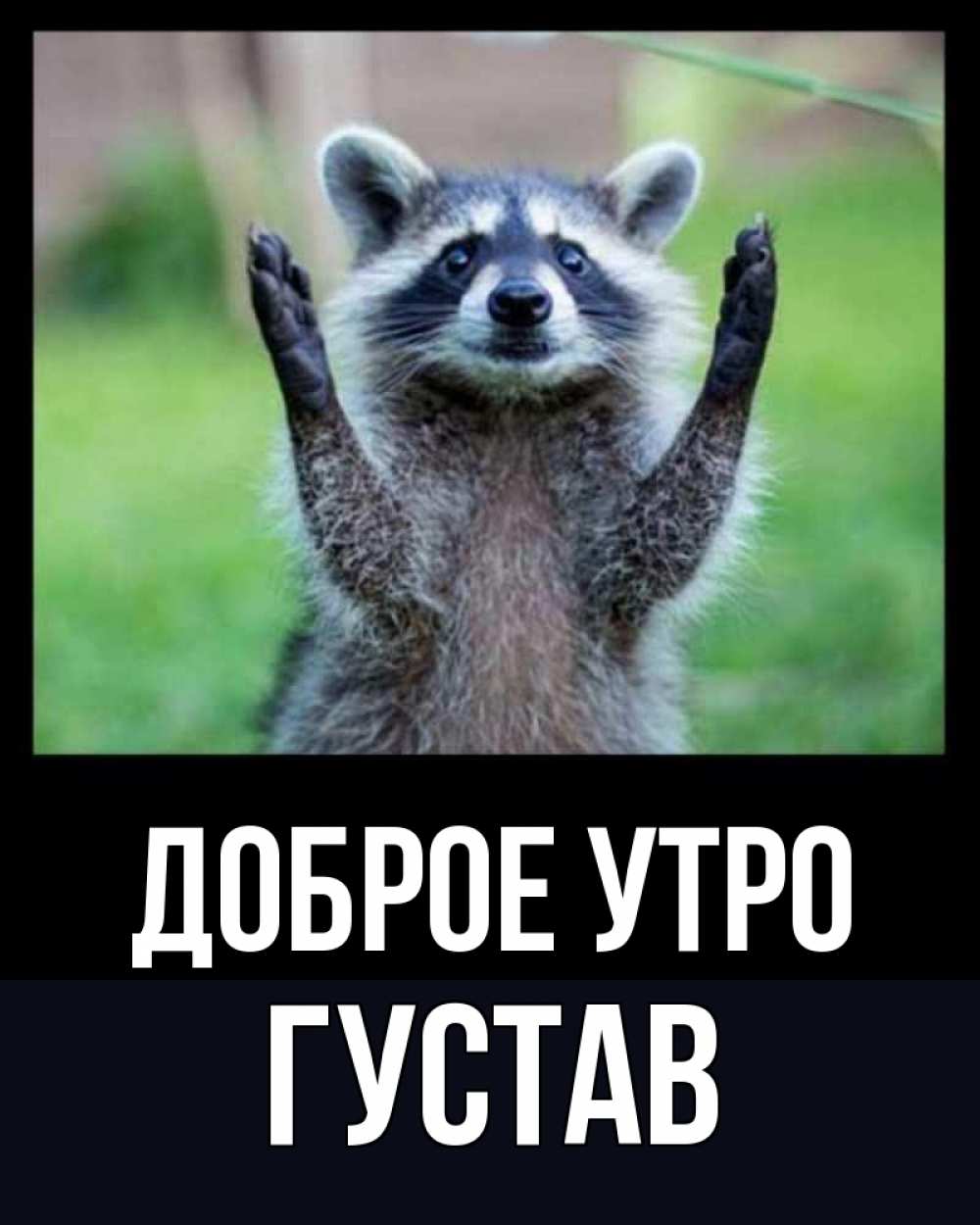 Открытка на каждый день с именем, Густав Доброе утро хорошее настроение утречком Прикольная открытка с пожеланием онлайн скачать бесплатно 