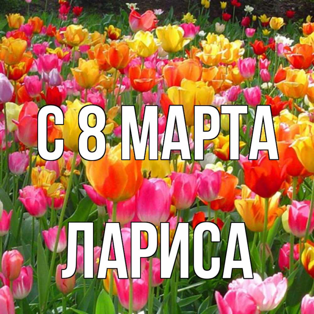 Открытка на каждый день с именем, Лариса С 8 марта на международный женский день Прикольная открытка с пожеланием онлайн скачать бесплатно 