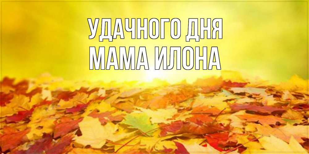 Открытка на каждый день с именем, Мама-Илона Удачного дня пожелания удачного дня Прикольная открытка с пожеланием онлайн скачать бесплатно 