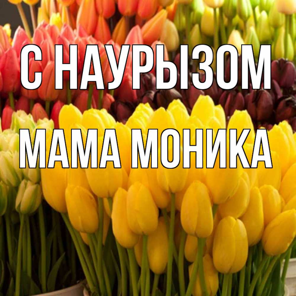Открытка на каждый день с именем, Мама-Моника С наурызом цветы Прикольная открытка с пожеланием онлайн скачать бесплатно 