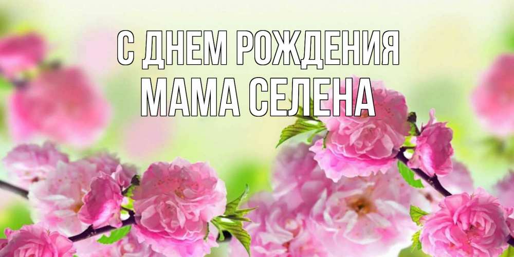Открытка на каждый день с именем, Мама-Селена С днем рождения веточки с цветками Прикольная открытка с пожеланием онлайн скачать бесплатно 