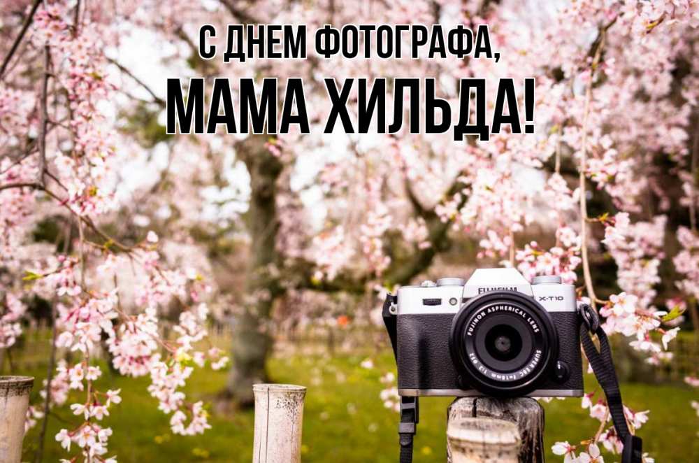 Открытка на каждый день с именем, Мама-Хильда С днем фотографа сирень с днем фотографа, фотоаппарат Прикольная открытка с пожеланием онлайн скачать бесплатно 