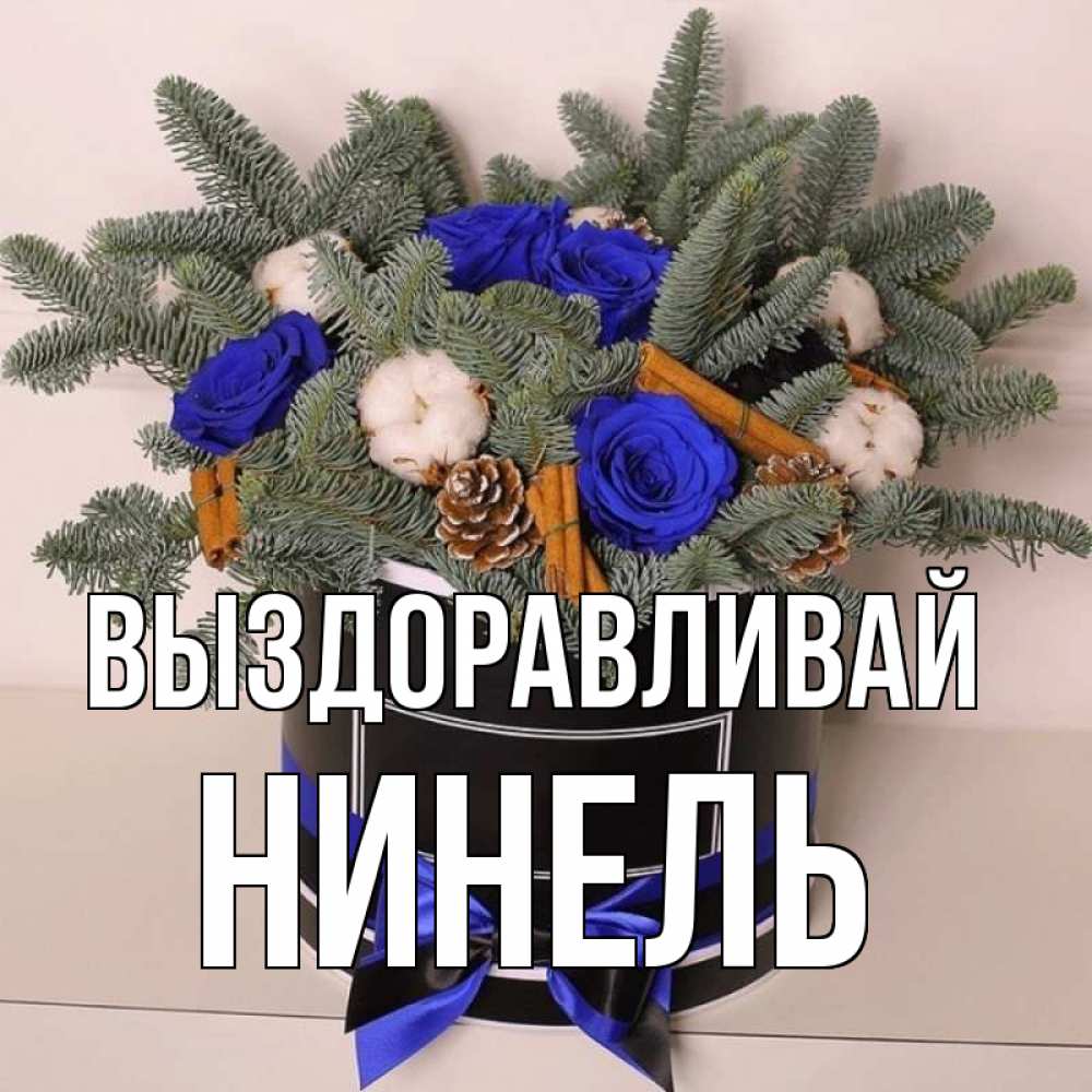 Открытка на каждый день с именем, Нинель Выздоравливай короче кто то загрузил эти шишки Прикольная открытка с пожеланием онлайн скачать бесплатно 