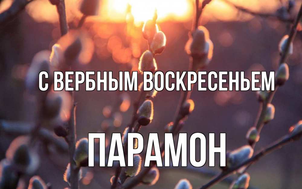 Открытка на каждый день с именем, Парамон С вербным воскресеньем верба Прикольная открытка с пожеланием онлайн скачать бесплатно 