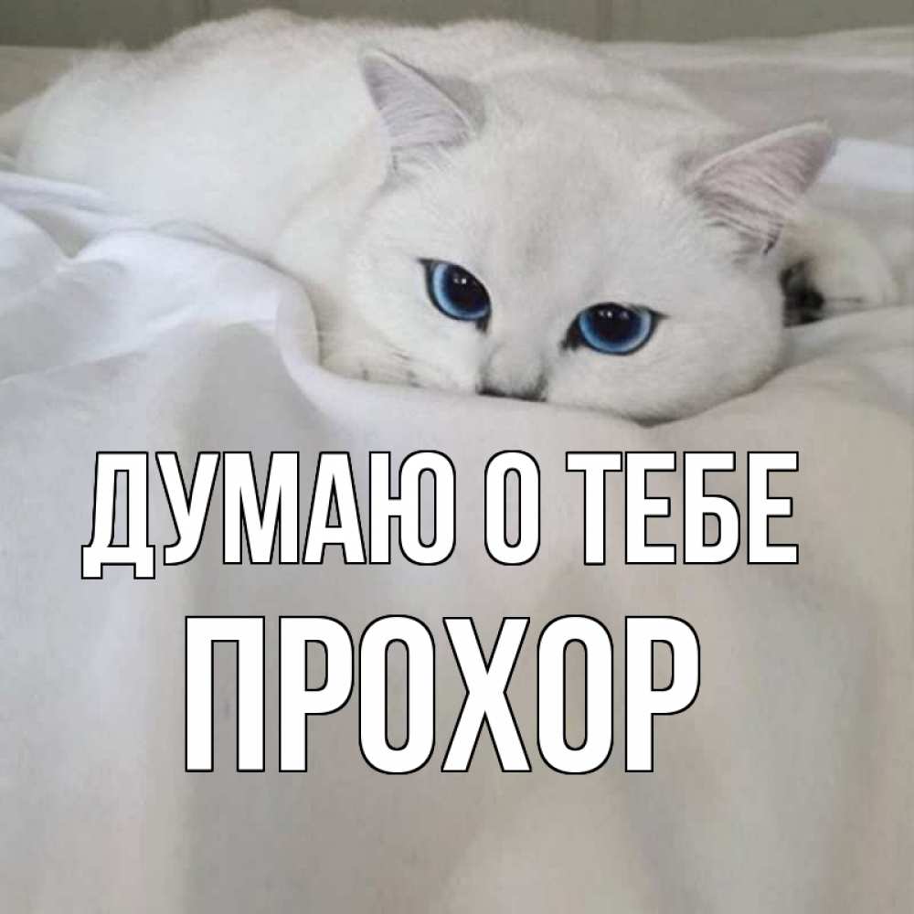 Открытка на каждый день с именем, Прохор Думаю о тебе я очень по тебе скучаю и тоскую Прикольная открытка с пожеланием онлайн скачать бесплатно 