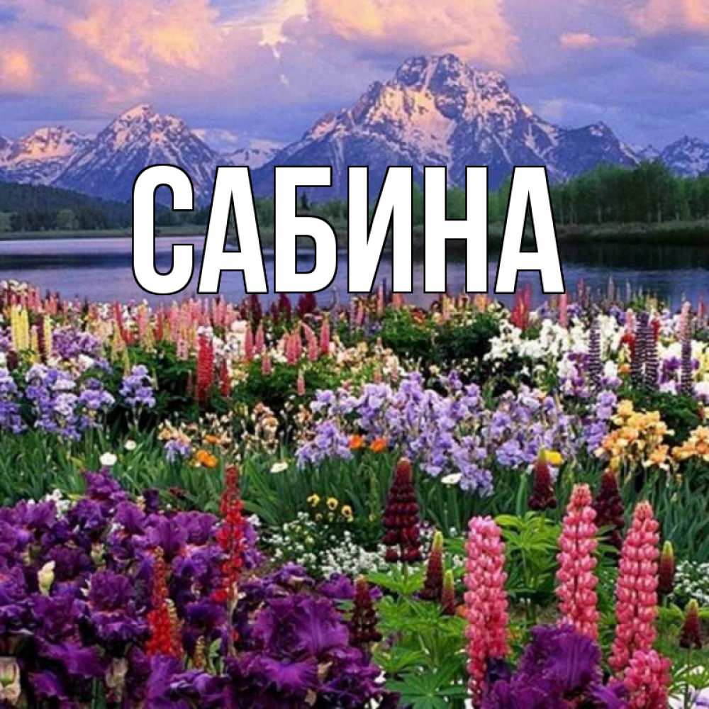 Открытка на каждый день с именем, Сабина Главная праздник весны наурыз Прикольная открытка с пожеланием онлайн скачать бесплатно 