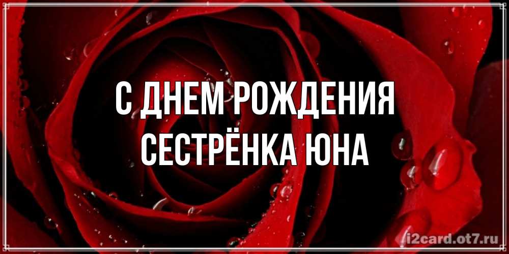Открытка на каждый день с именем, Сестрёнка-Юна С днем рождения крупная бордовая роза Прикольная открытка с пожеланием онлайн скачать бесплатно 