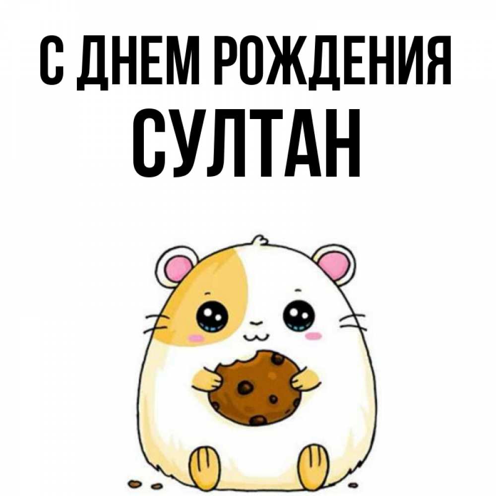 День Рождения Султана