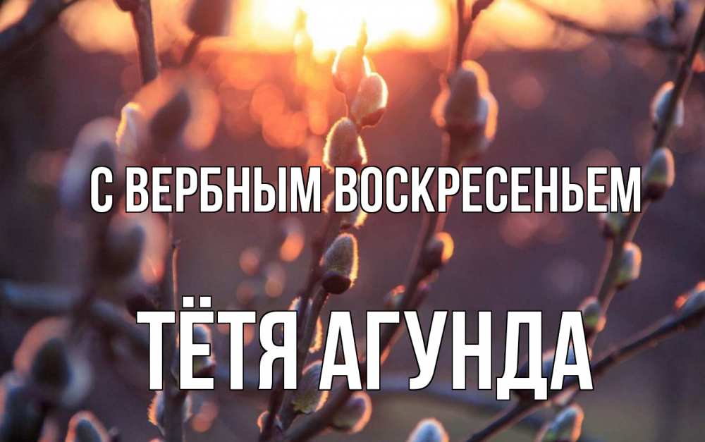Открытка на каждый день с именем, Тётя-Агунда С вербным воскресеньем верба Прикольная открытка с пожеланием онлайн скачать бесплатно 