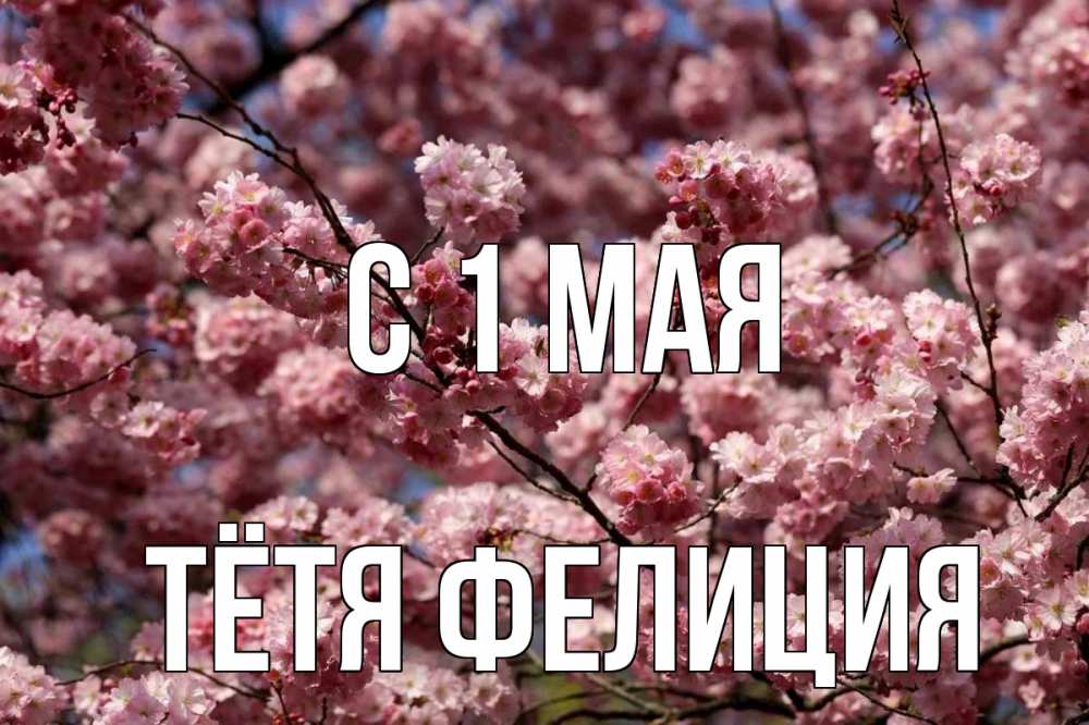 Открытка на каждый день с именем, Тётя-Фелиция С 1 мая С 1 мая Прикольная открытка с пожеланием онлайн скачать бесплатно 
