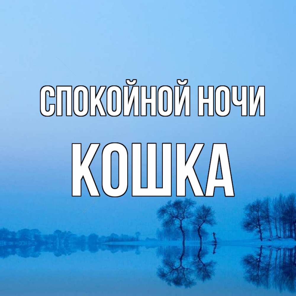 Открытка на каждый день с именем, кошка Спокойной ночи весна Прикольная открытка с пожеланием онлайн скачать бесплатно 