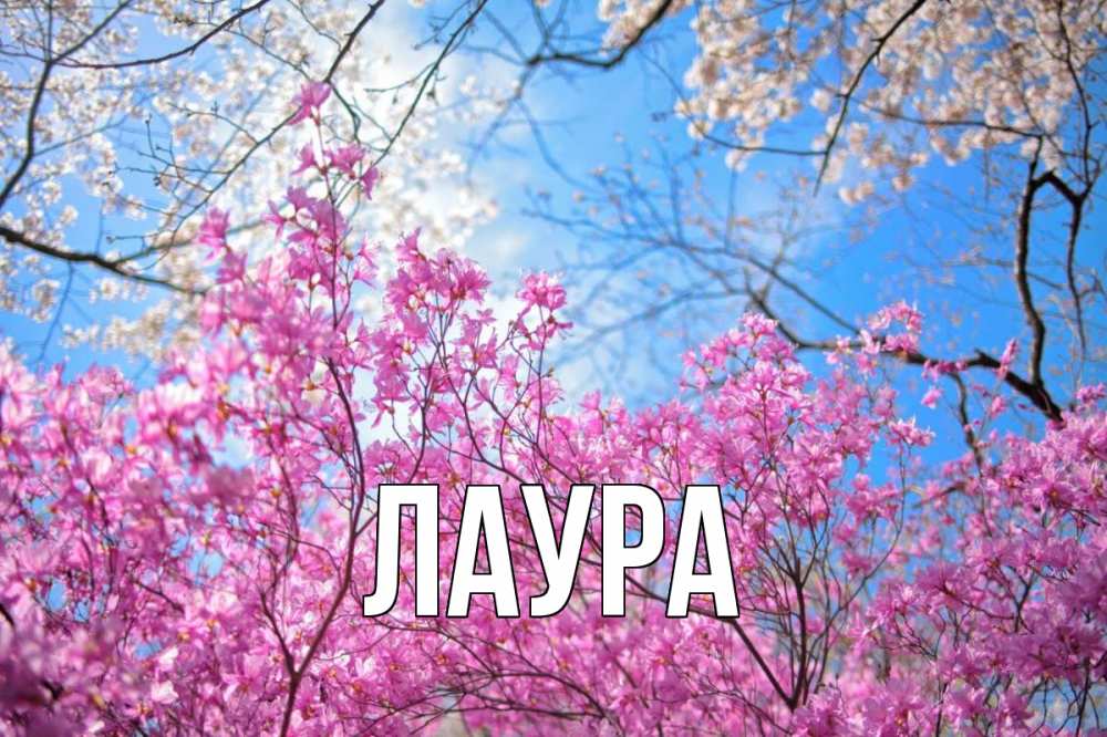 Картинка  с именем , Лаура