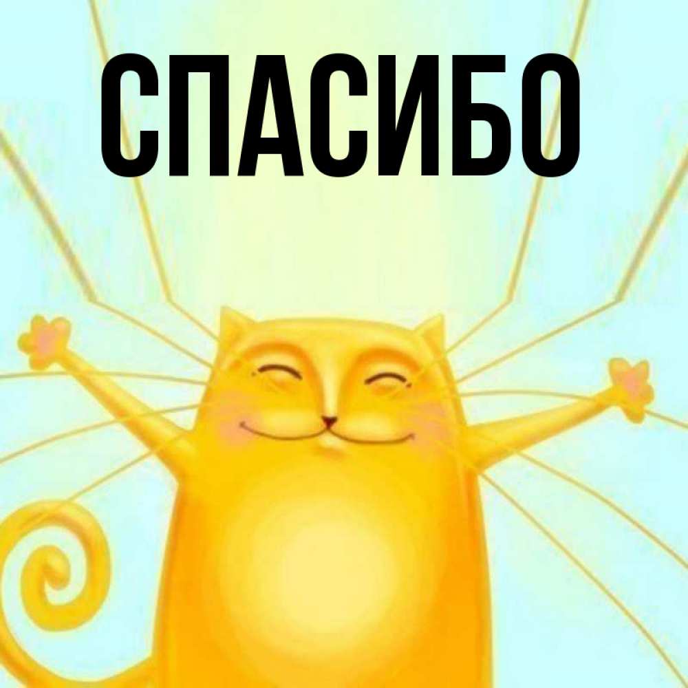 спасибо главный экран. открытки с благодарностью. открытки с благодарностью спасибо. спасибо главный экран. спасибо главный экран.