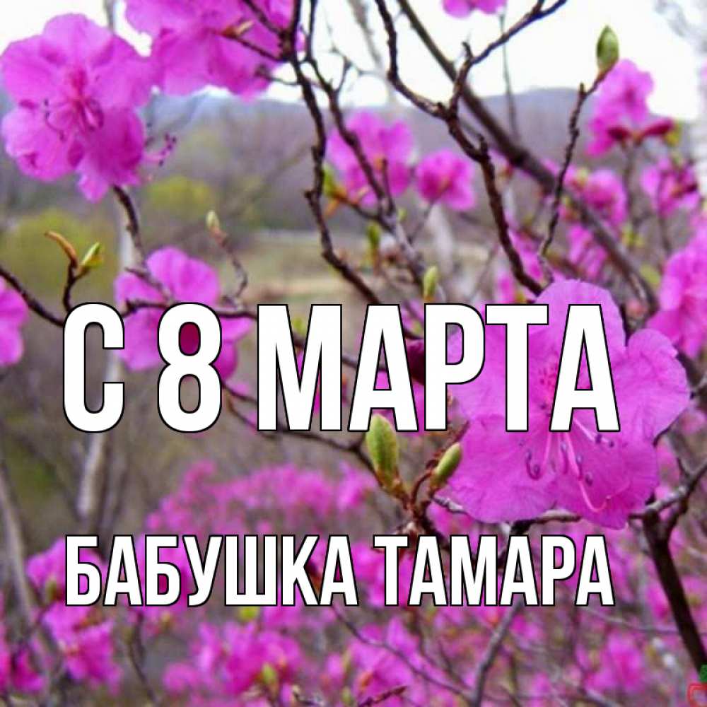 Открытка на каждый день с именем, Бабушка-Тамара С 8 МАРТА международный женский день Прикольная открытка с пожеланием онлайн скачать бесплатно 
