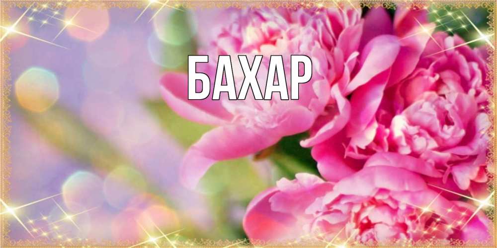 Открытка на каждый день с именем, Бахар Главная красивые открытки с текстом для любимых дам Прикольная открытка с пожеланием онлайн скачать бесплатно 