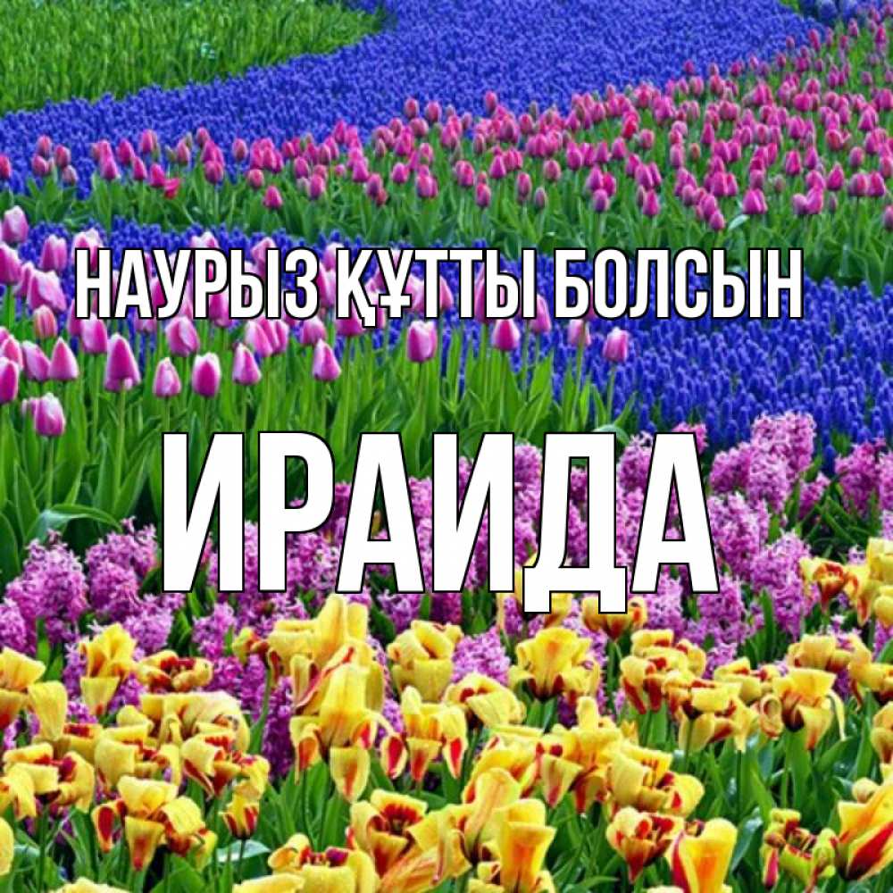 Открытка на каждый день с именем, Ираида Наурыз құтты болсын цветы Прикольная открытка с пожеланием онлайн скачать бесплатно 