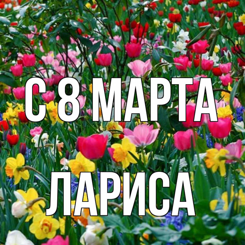 Открытка на каждый день с именем, Лариса С 8 МАРТА с международным женским днем поздравления для женщины Прикольная открытка с пожеланием онлайн скачать бесплатно 