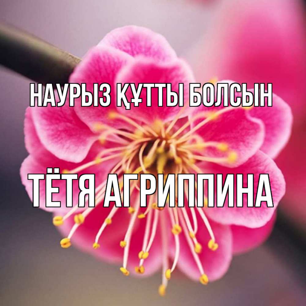 Открытка на каждый день с именем, Тётя-Агриппина Наурыз құтты болсын цветы Прикольная открытка с пожеланием онлайн скачать бесплатно 