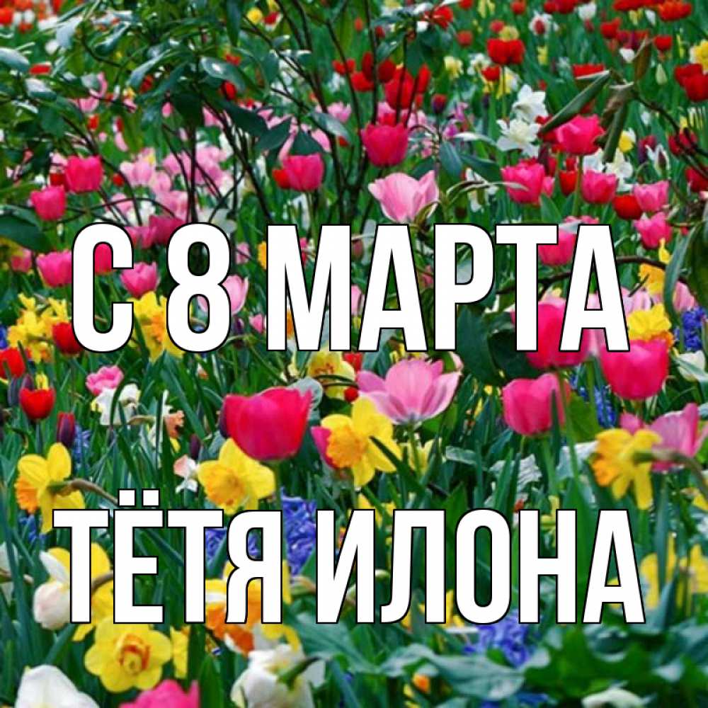 Открытка на каждый день с именем, Тётя-Илона С 8 марта с международным женским днем поздравления для женщины Прикольная открытка с пожеланием онлайн скачать бесплатно 