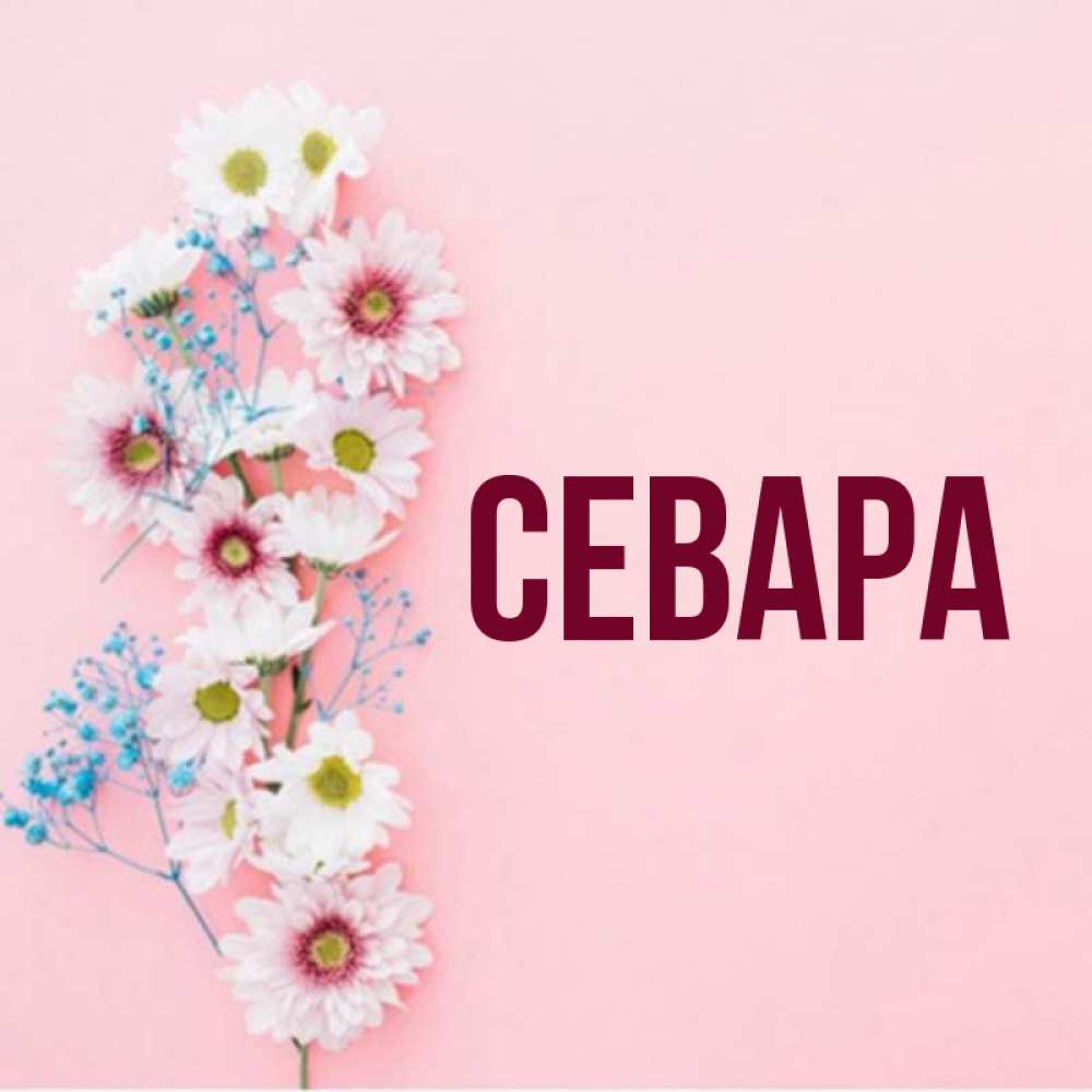 Картинки с днем рождения севара