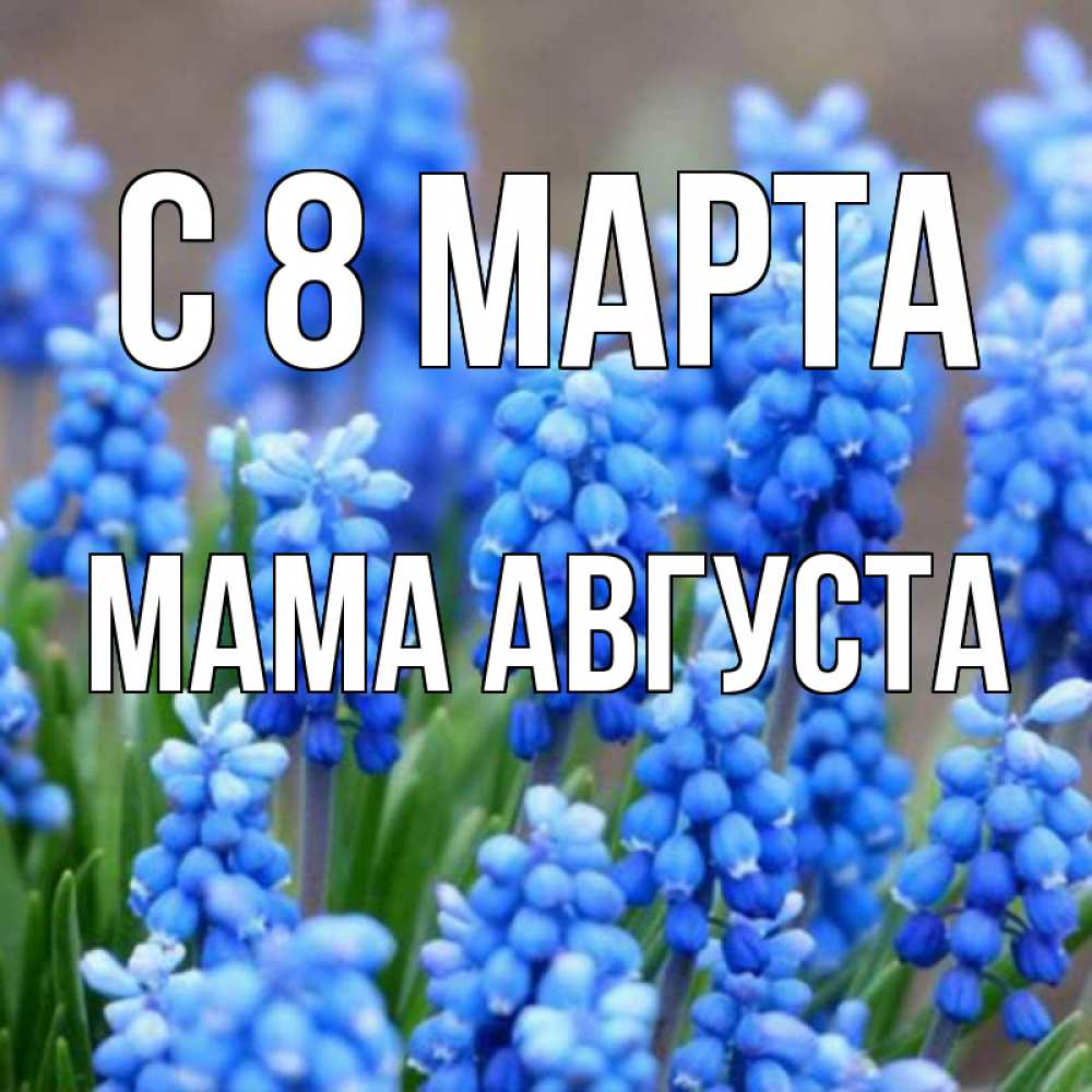 Открытка на каждый день с именем, Мама-Августа С 8 МАРТА Поздравительная открытка для женщин с цветами на праздничную дату Прикольная открытка с пожеланием онлайн скачать бесплатно 