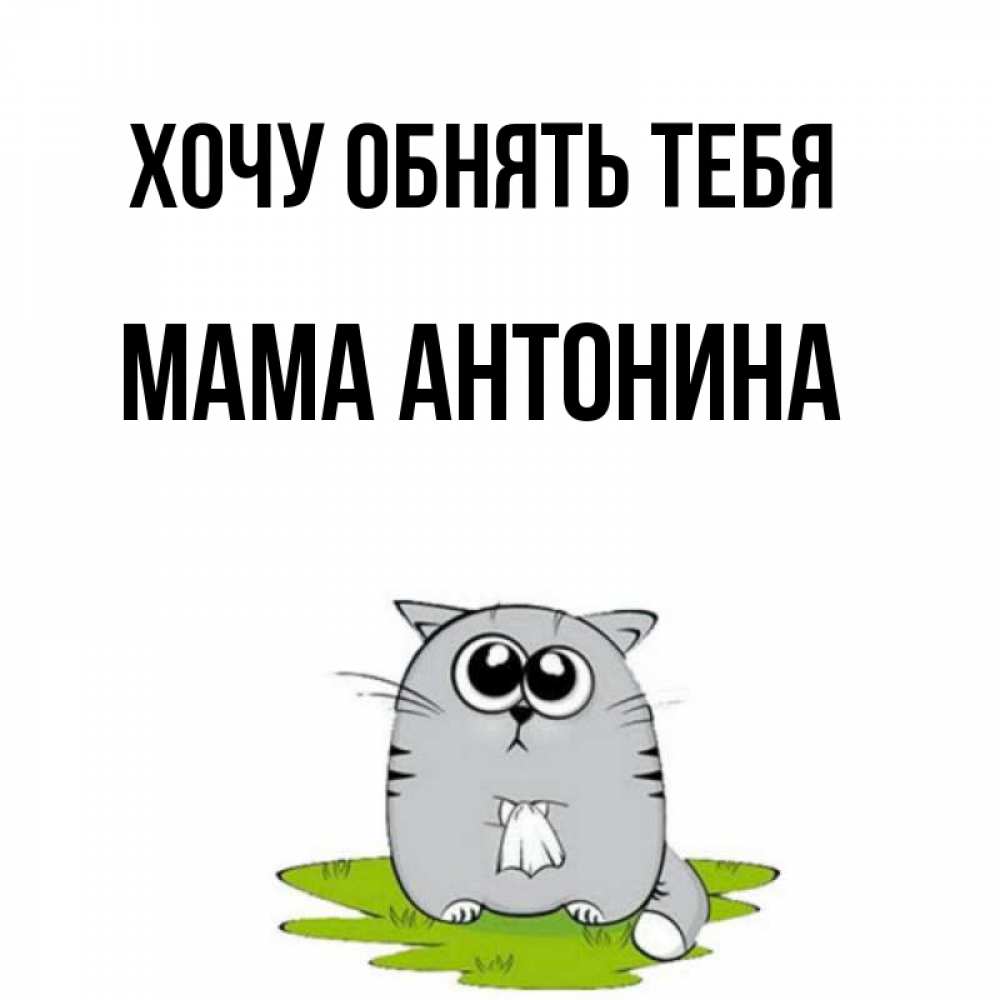 Котики ждут маму.