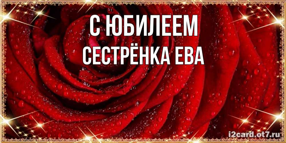 Открытка на каждый день с именем, Сестрёнка-Ева С юбилеем роса на розе блестящая в лучах солнца Прикольная открытка с пожеланием онлайн скачать бесплатно 
