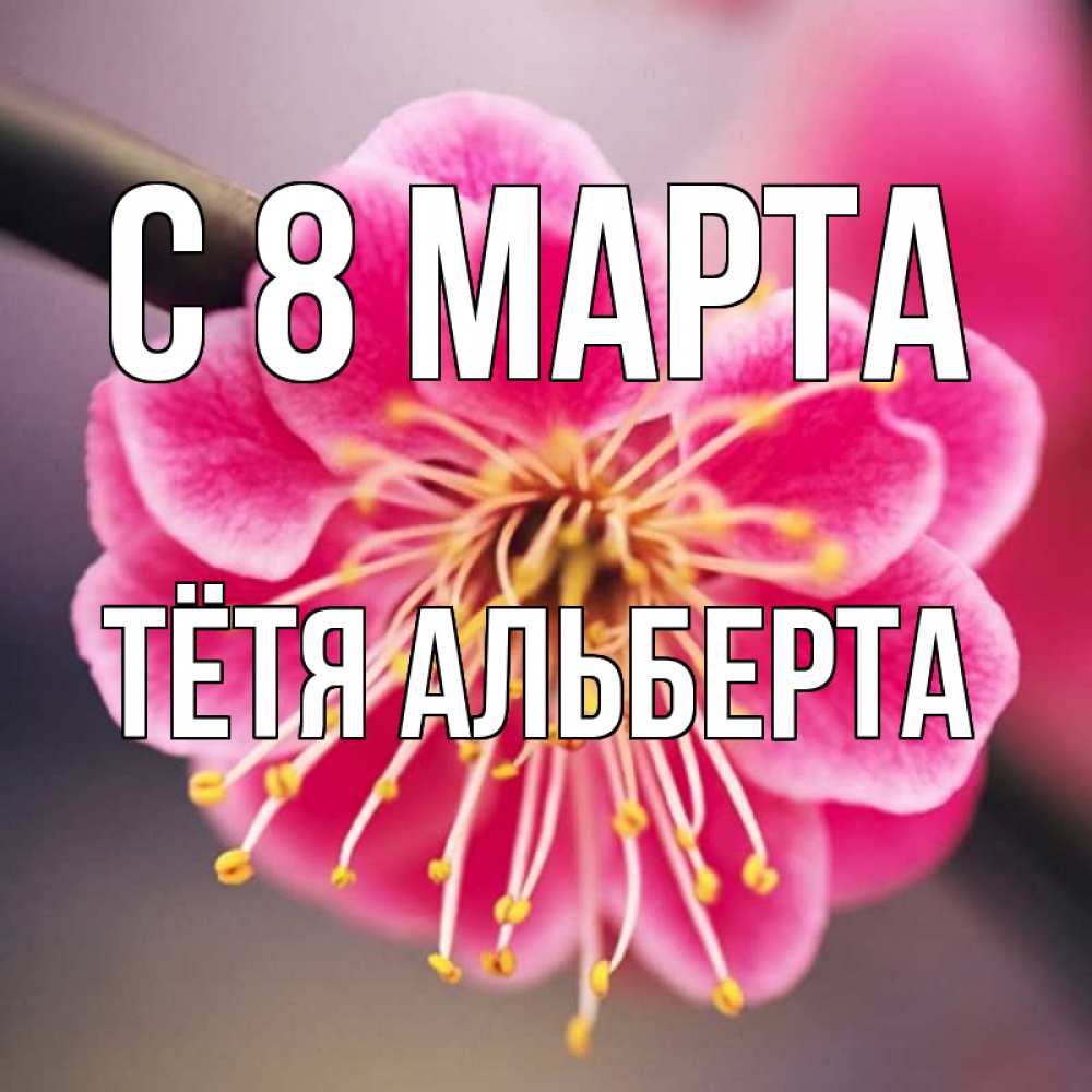 Открытка на каждый день с именем, Тётя-Альберта С 8 МАРТА цветы Прикольная открытка с пожеланием онлайн скачать бесплатно 
