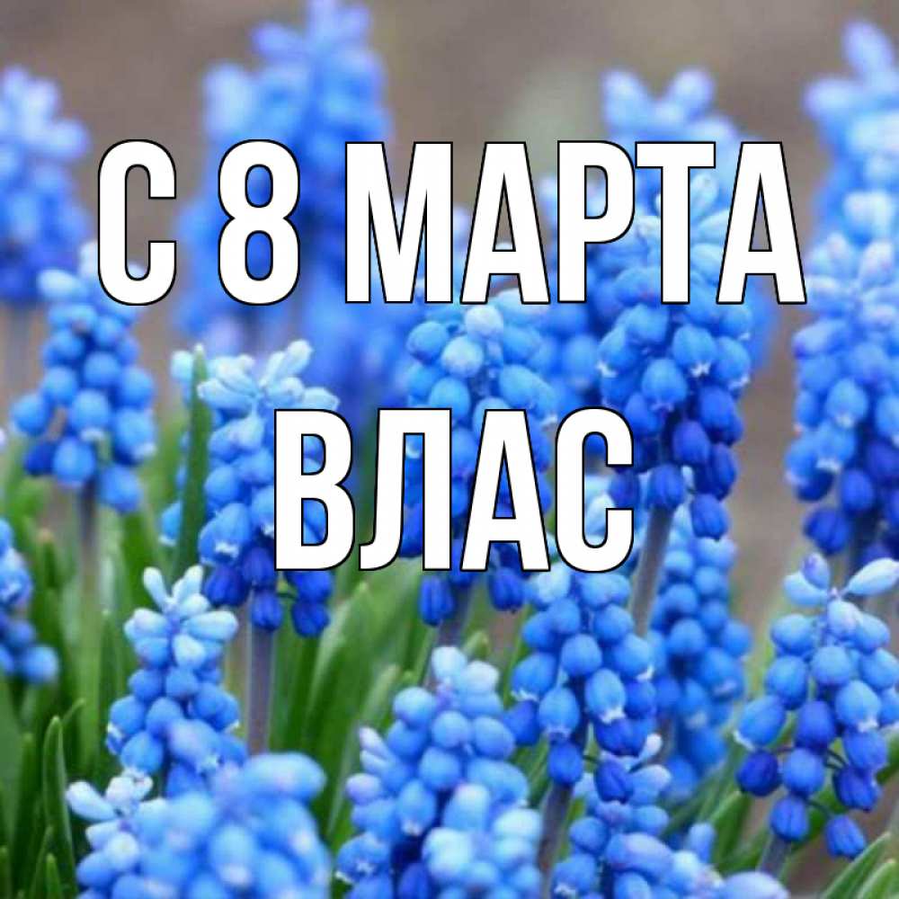 Картинка С 8 марта, Влас