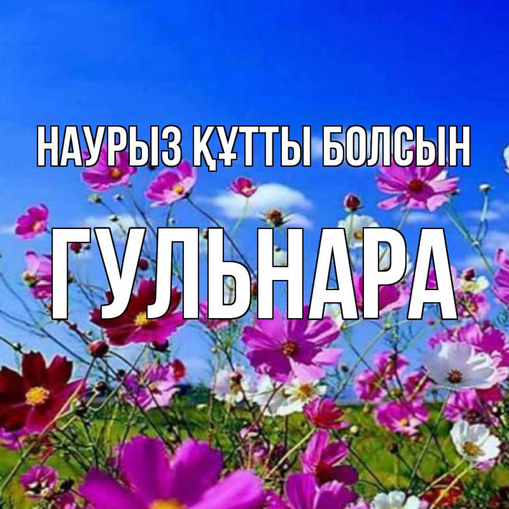 Открытка на каждый день с именем, Гульнара Наурыз құтты болсын цветы Прикольная открытка с пожеланием онлайн скачать бесплатно 