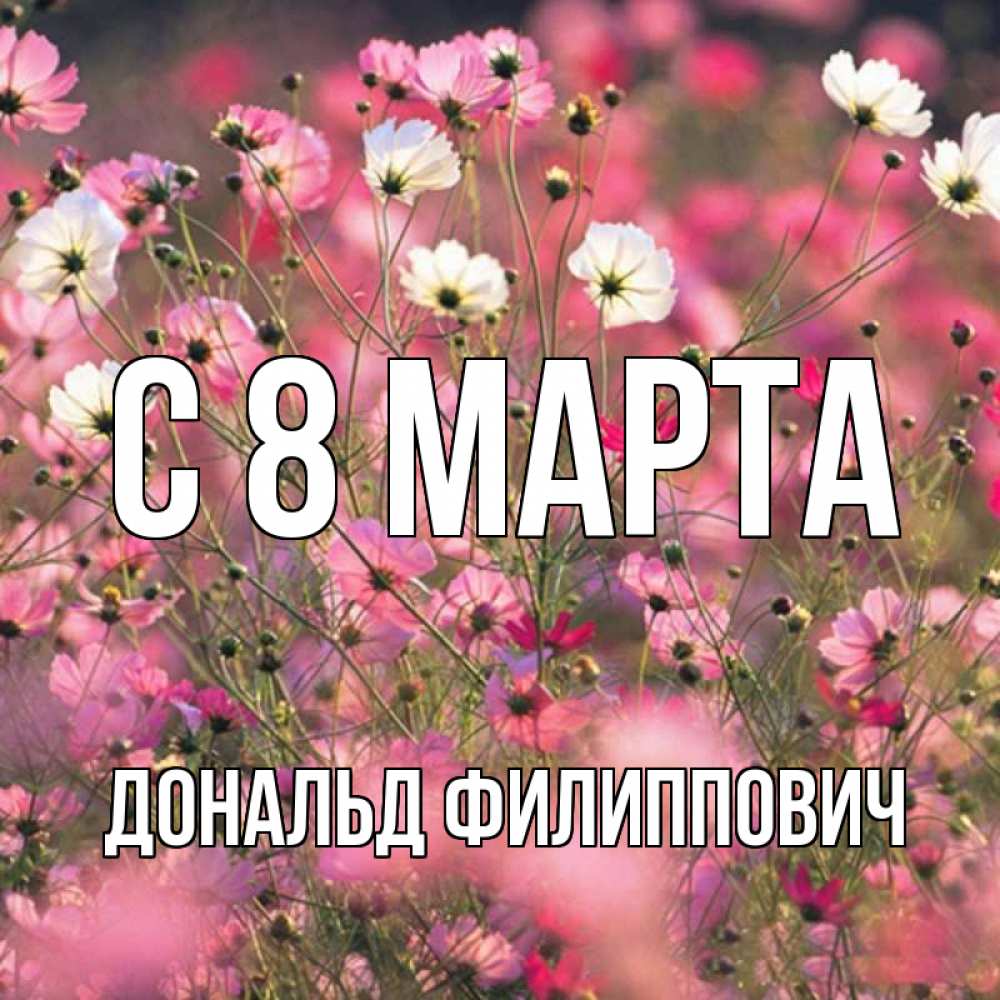 Картинка С 8 марта, Дональд Филиппович