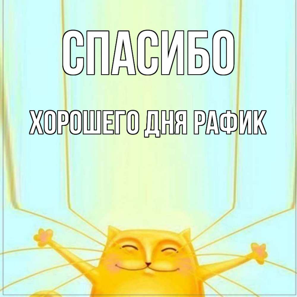 Открытка на каждый день с именем, Хорошего-дня-Рафик Спасибо кот с усами благодарит Прикольная открытка с пожеланием онлайн скачать бесплатно 