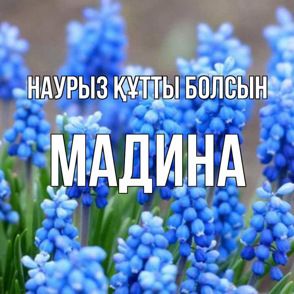 Открытка на каждый день с именем, Мадина Наурыз құтты болсын Поздравительная открытка для женщин с цветами на праздничную дату Прикольная открытка с пожеланием онлайн скачать бесплатно 